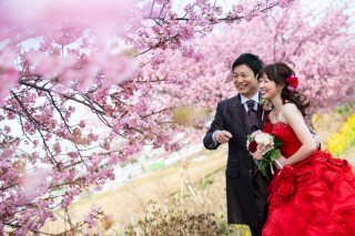 ＊通常営業スタートしております＊