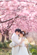 色褪せない一枚を&hellip;✵