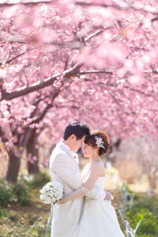 色褪せない一枚を…✵