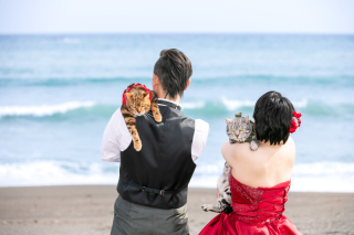 ペットと一緒にロケーション撮影！