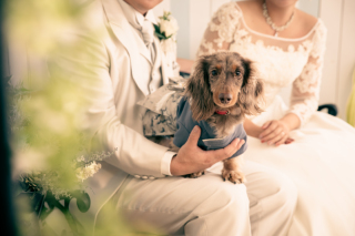 大切なペットと素敵な1日を・・✵