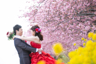 桜フォトウェディング✿