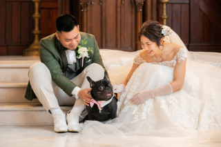 ペットと一緒にステキないちまいを！