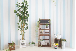 スタジオ紹介☆