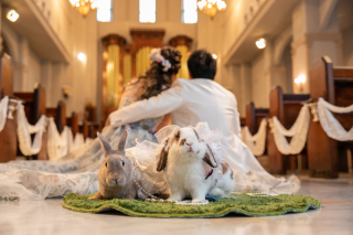 大事なペットも家族の一員です!♡