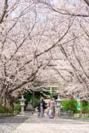 ご予約はお早めに♡