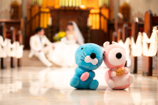 いただいた質問にお答えいたします✦