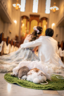 ペットも大事な家族の一員♪