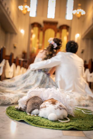 ペットも大事な家族の一員♪