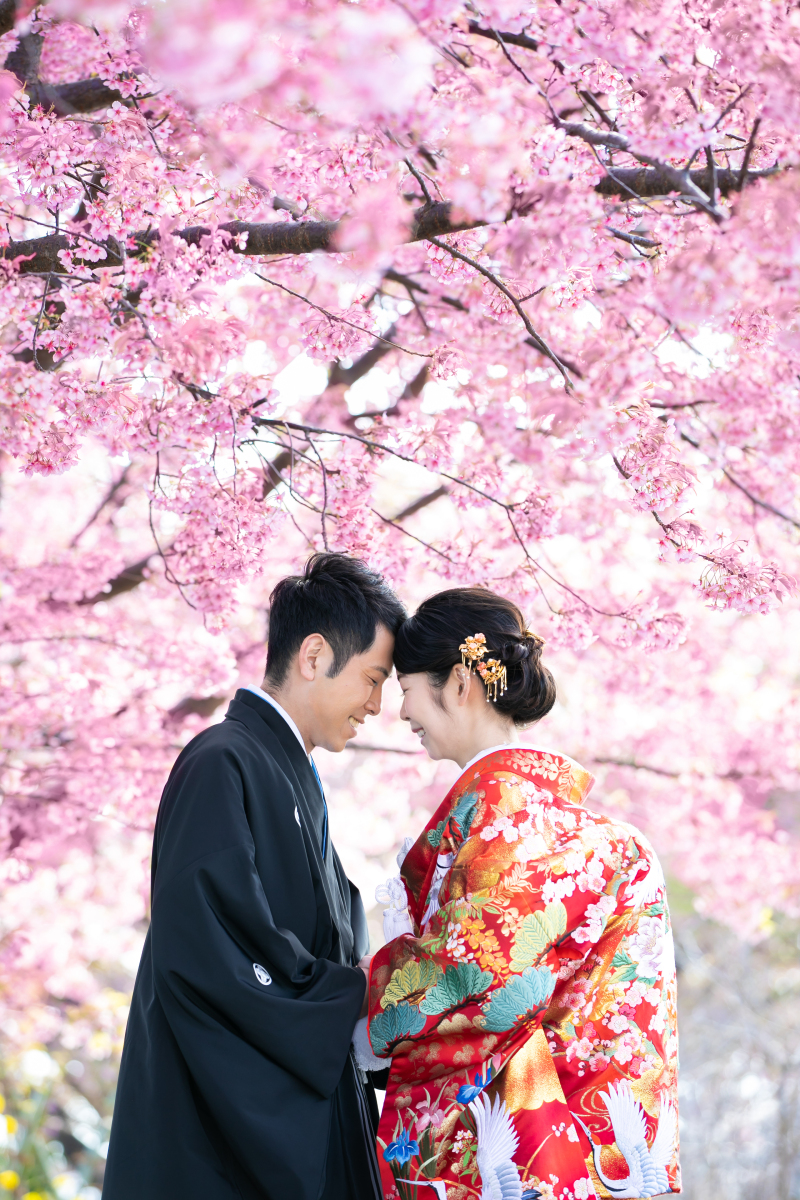 ✿河津桜ロケーションフォト✿