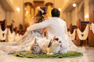 ペットも大事な家族の一員…♡