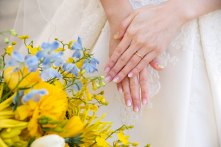 フォトウェディング相談会開催中❁