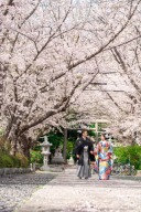 さくらフォト❀