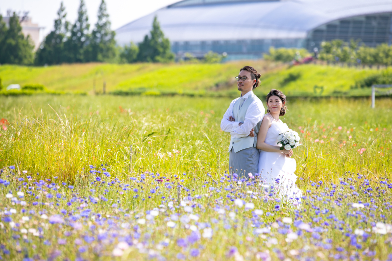 秋の花々に囲まれて✿