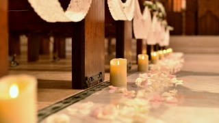 新成人の皆様、おめでとうございます！