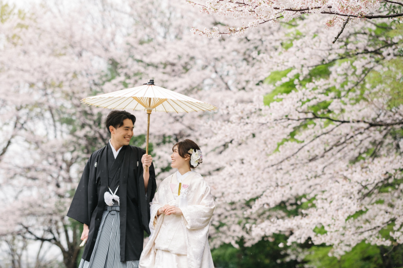 桜ロケーション撮影について
