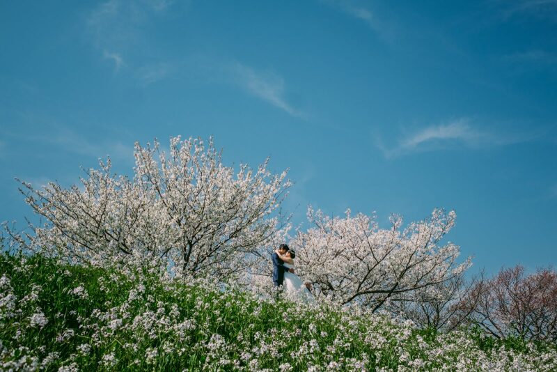 撮影のタイミング。