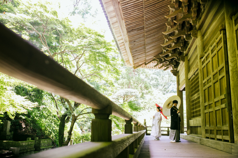 【鎌倉和装ロケ】紫陽花の妙本寺