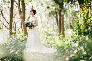 自然おまかせプランのメリット。