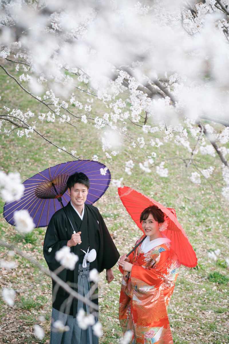 桜予約はお早めが吉！