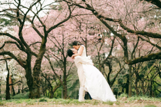 今ならまだ間に合う！！桜ロケ撮影【先行予約割 30,000円OFF！！】