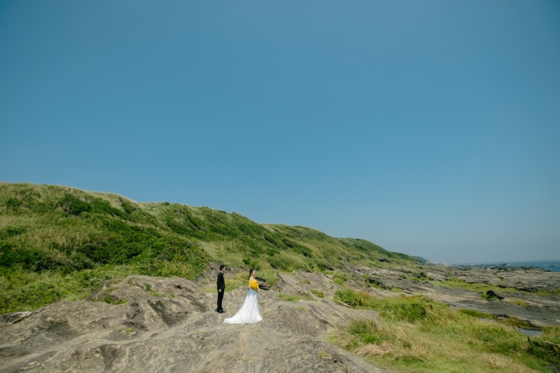 海と緑とわんこと。