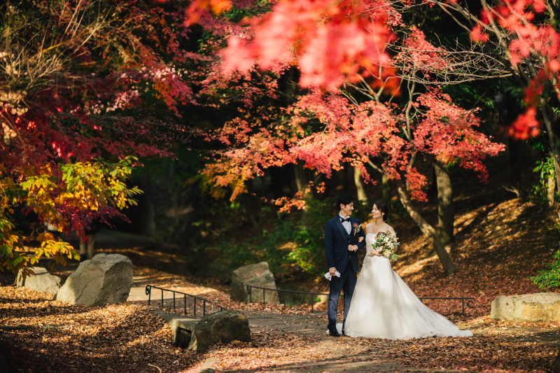 【都筑中央公園】紅葉のおもいで