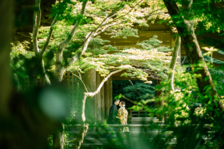 和装に最適なシーズン突入。