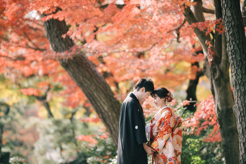 まだ間に合う！紅葉ロケーションフォト