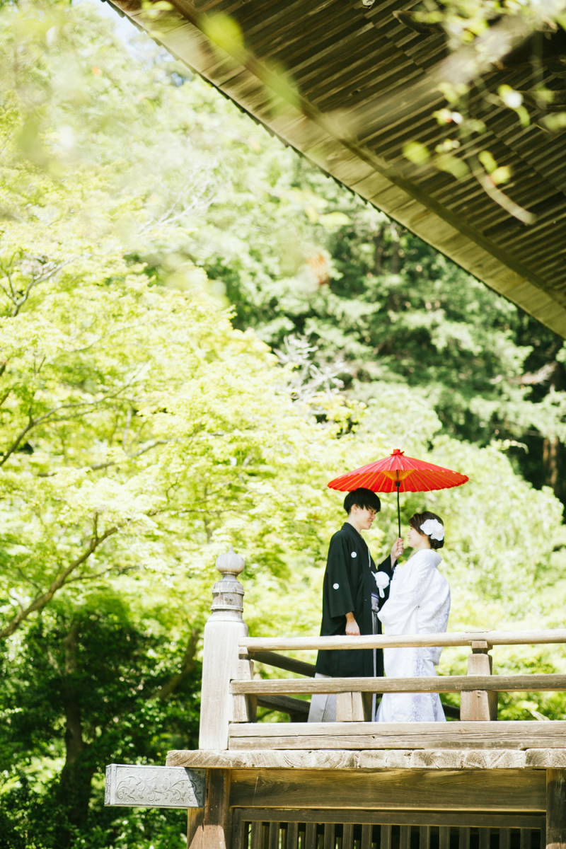 【鎌倉和装ロケ】紫陽花の妙本寺