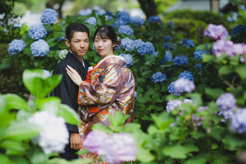 寺院と紫陽花と。