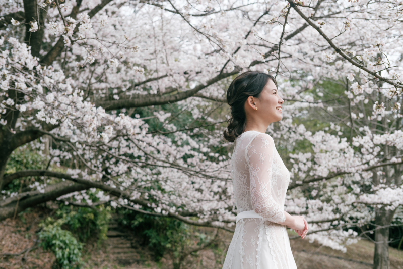 桜予約はお早めが吉！