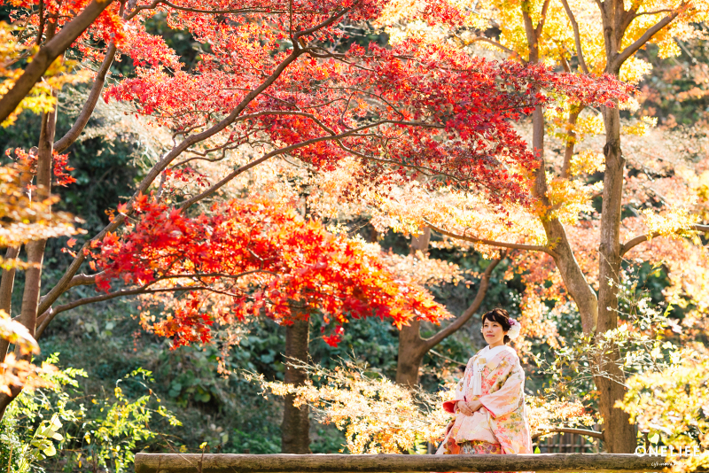 10月キャンペーン情報&空き状況のお知らせ