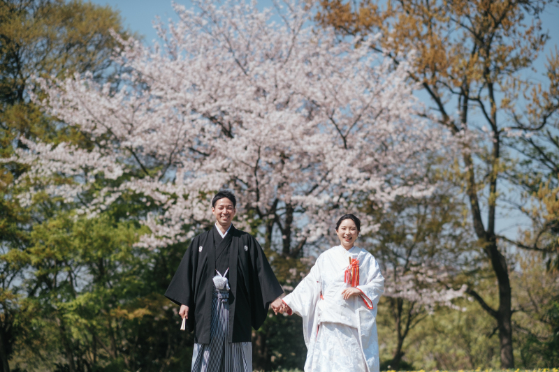 桜も緑も!