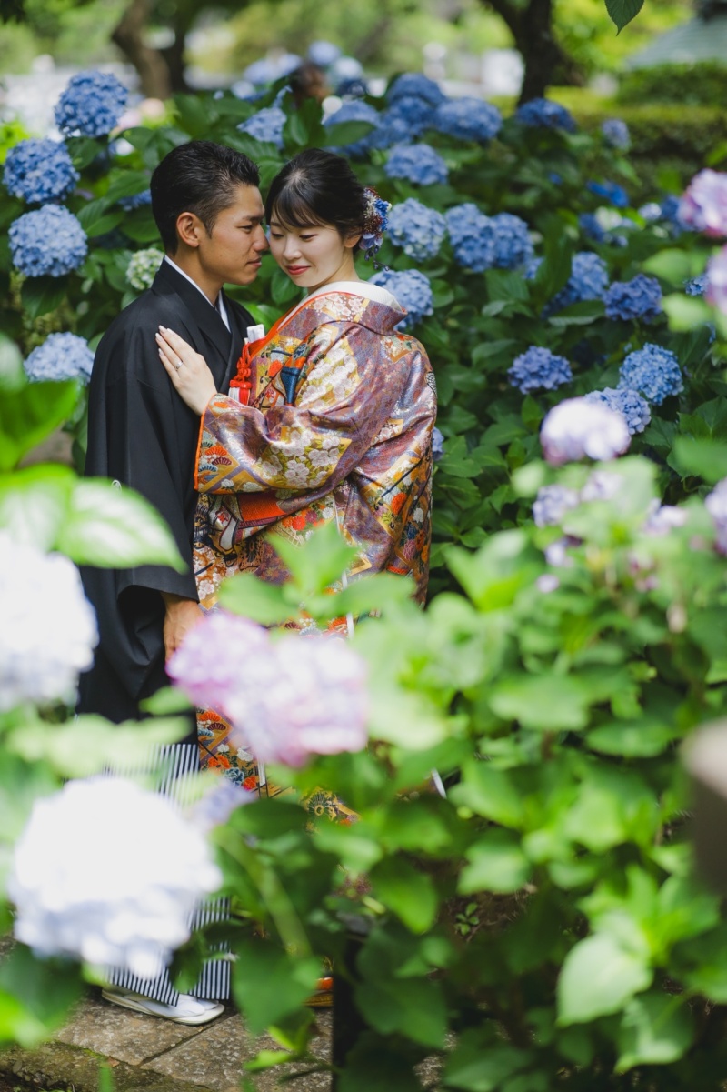 寺院と紫陽花と。