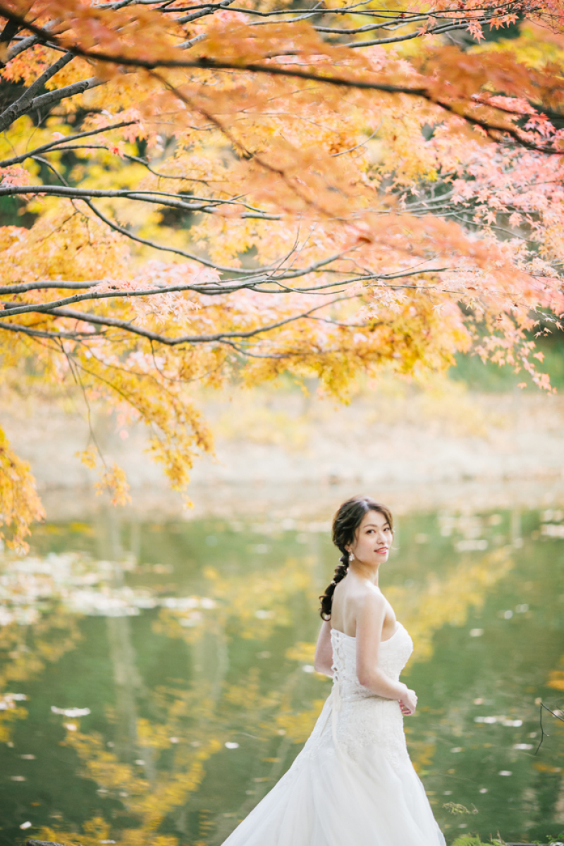 【都筑中央公園】紅葉のおもいで