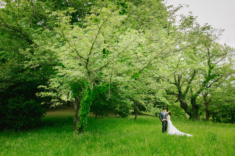 昭和記念公園で四季を感じて