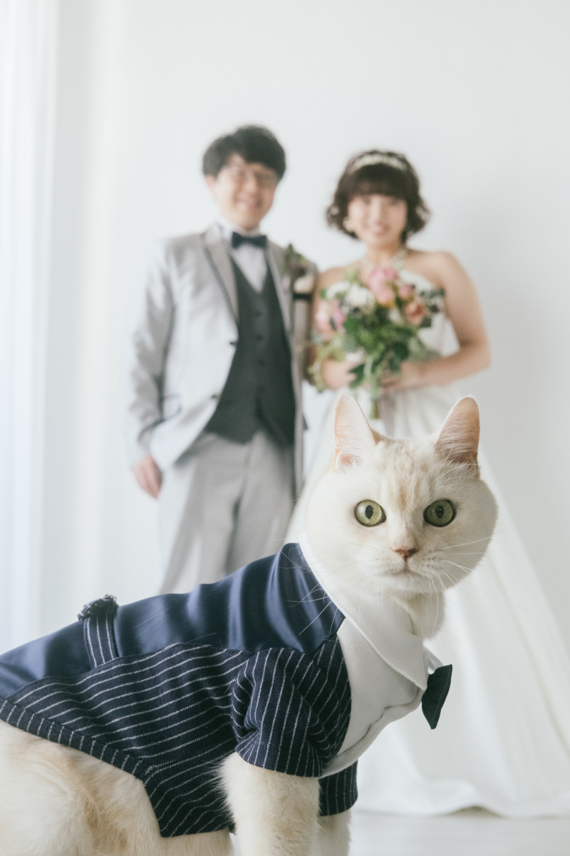 ペットと一緒に~ねこちゃん編~