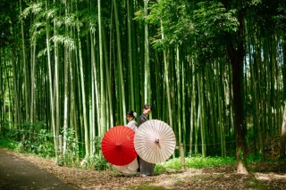 魅力的！スタジオ撮影オプション！