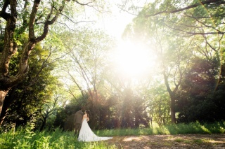 新緑に包まれて特別な一枚を【ONELIFE】