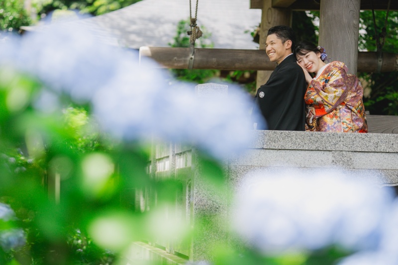 寺院と紫陽花と。