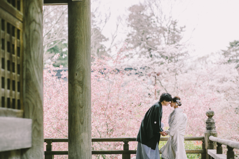 桜予約はお早めが吉！