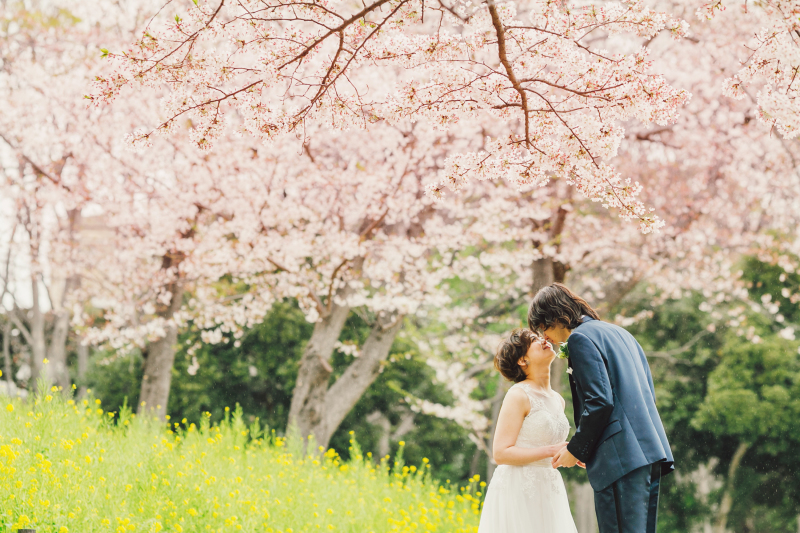 来春『桜』の撮影!早くもご予約開始します!