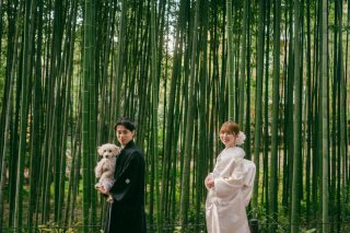 和装と自然とわんこも一緒