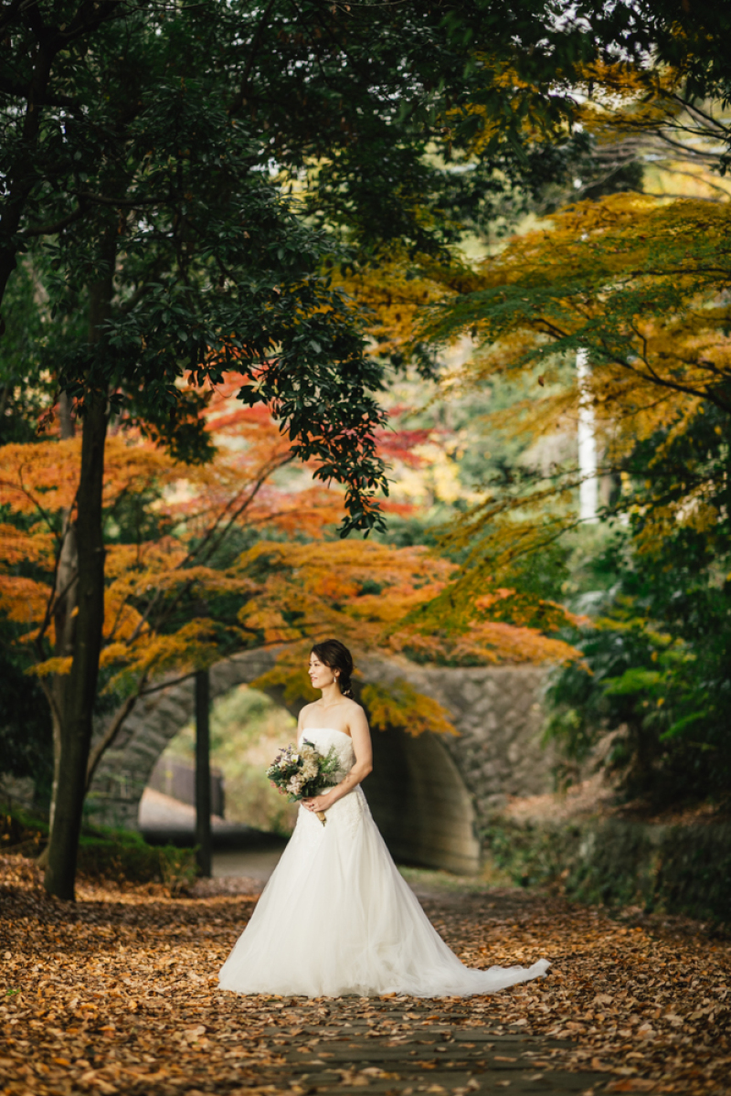 【都筑中央公園】紅葉のおもいで