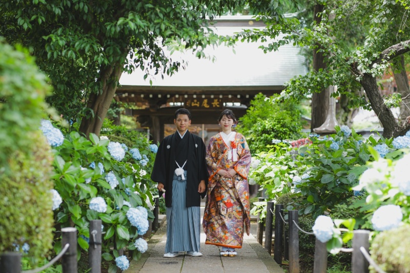 寺院と紫陽花と。
