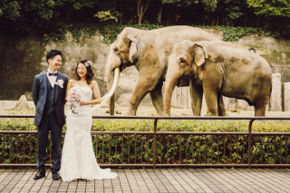 横浜の動物園でワイワイ洋装ロケーション撮影♪