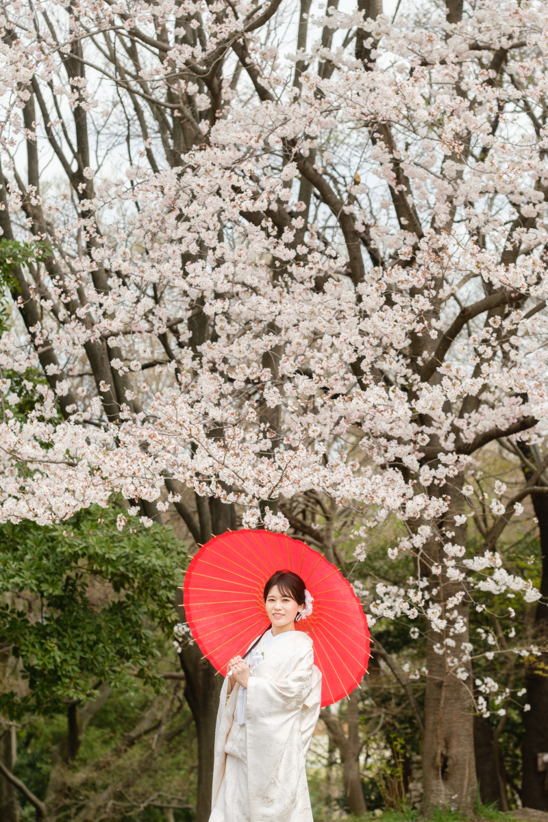 桜ロケーション撮影について