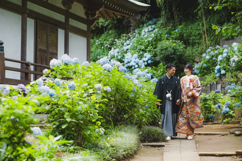 寺院と紫陽花と。