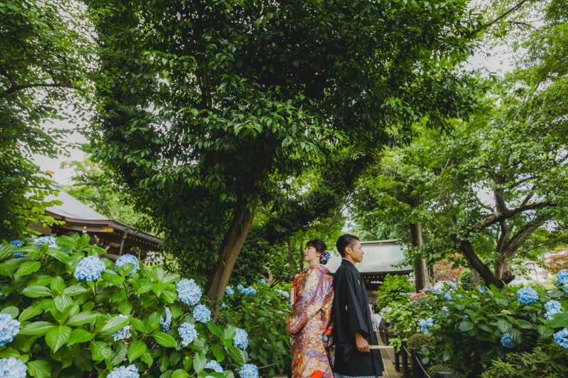 寺院と紫陽花と。